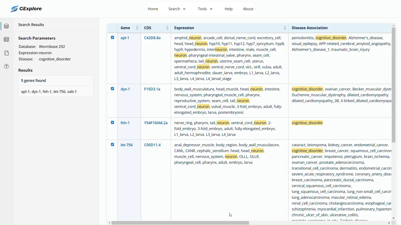 Full GExplore result screen with query and tool area on the left and gene evidence on the right