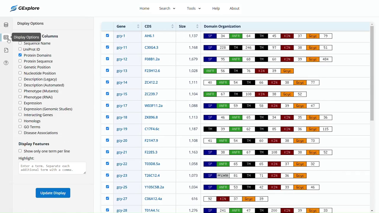 Full protein-domain results with Display Options beside the table