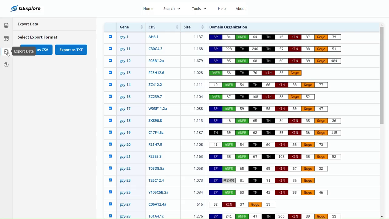 Full GExplore protein-domain results with CSV and TXT export controls beside the gene table