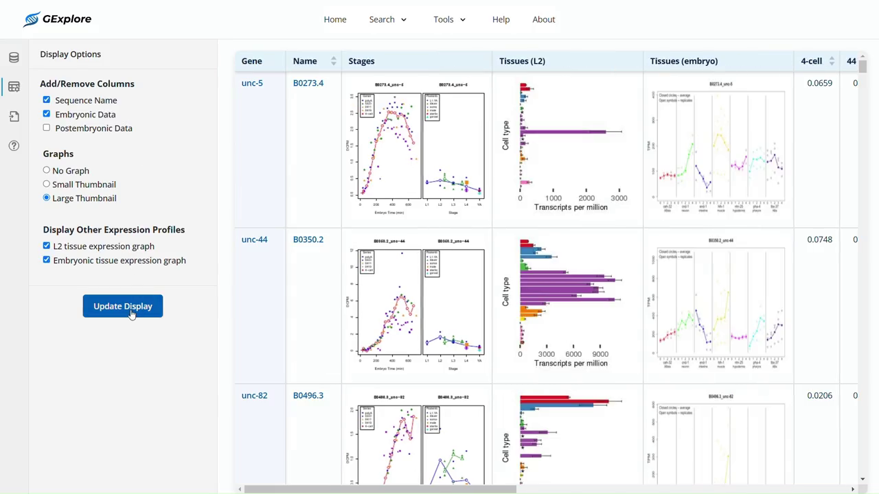 Full expression-results table with stage and tissue charts configured beside each gene