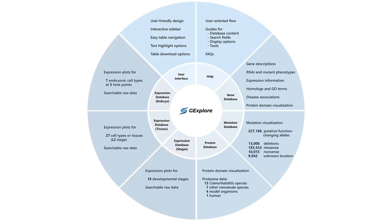 An overview of GExplore and how its databases connect.