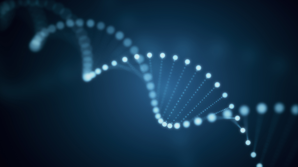 We Care Project Image